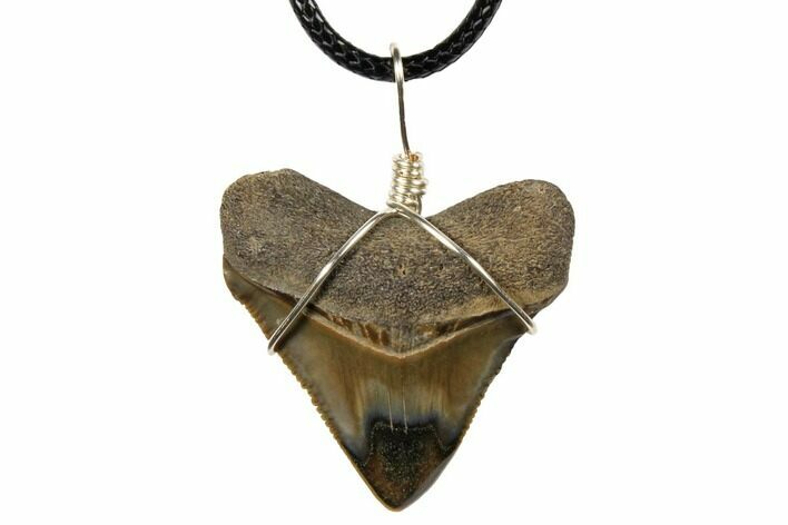 Fossil Megalodon Tooth Necklace - Serrated Blade #130968